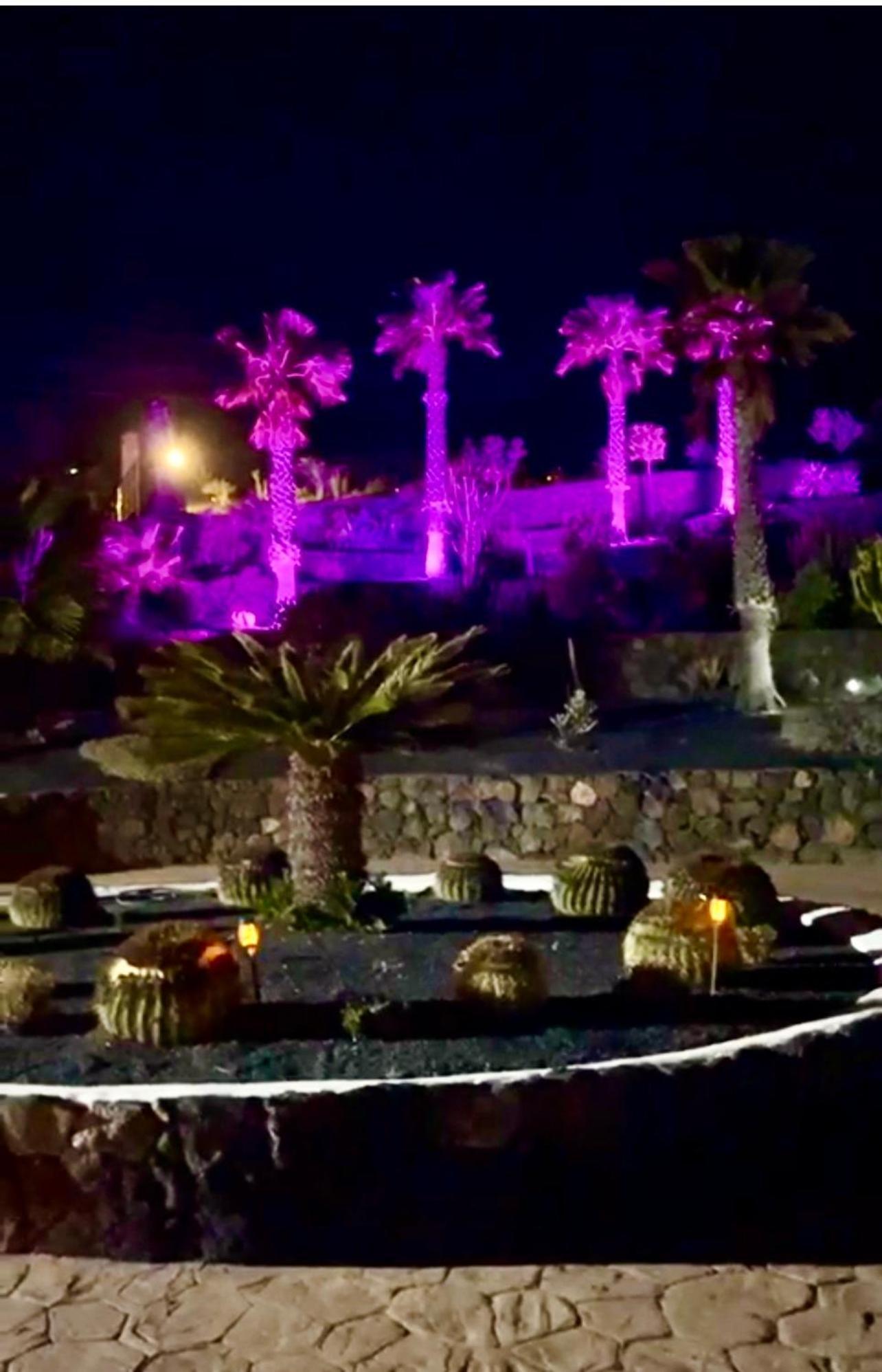 Castillo Lanzarote Villa Winni - Luxury Villa - Pet Friendly With Heated Pool La Asomada  Dış mekan fotoğraf
