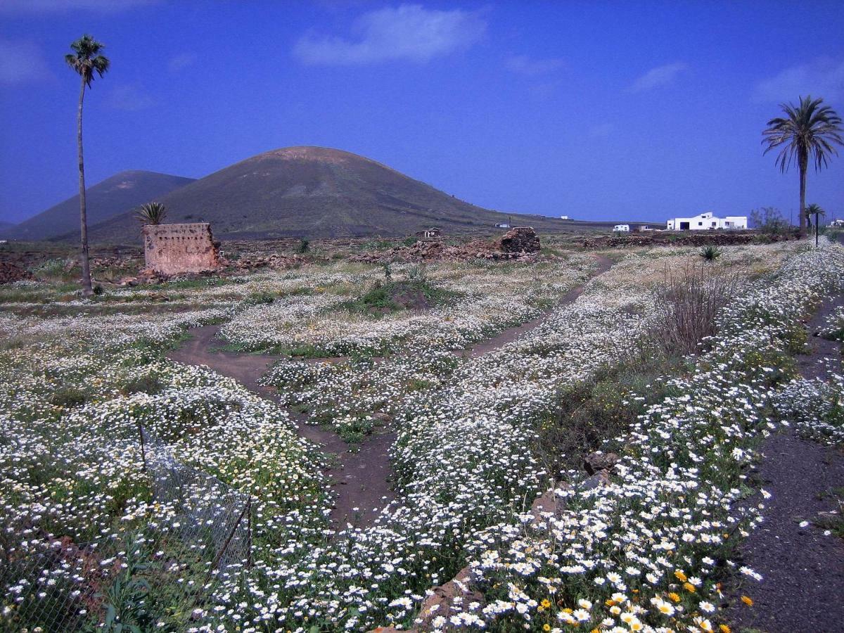 Castillo Lanzarote Villa Winni - Luxury Villa - Pet Friendly With Heated Pool La Asomada  Dış mekan fotoğraf