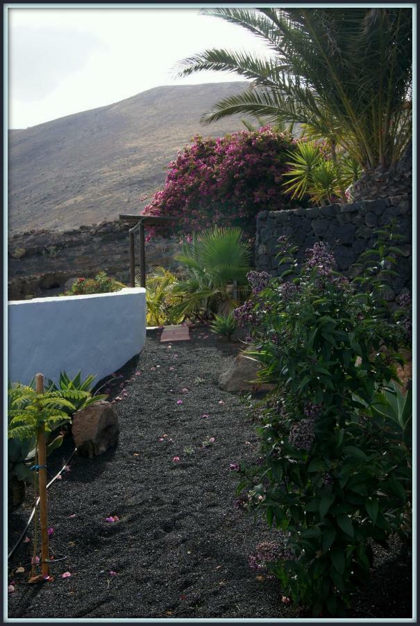 Castillo Lanzarote Villa Winni - Luxury Villa - Pet Friendly With Heated Pool La Asomada  Dış mekan fotoğraf