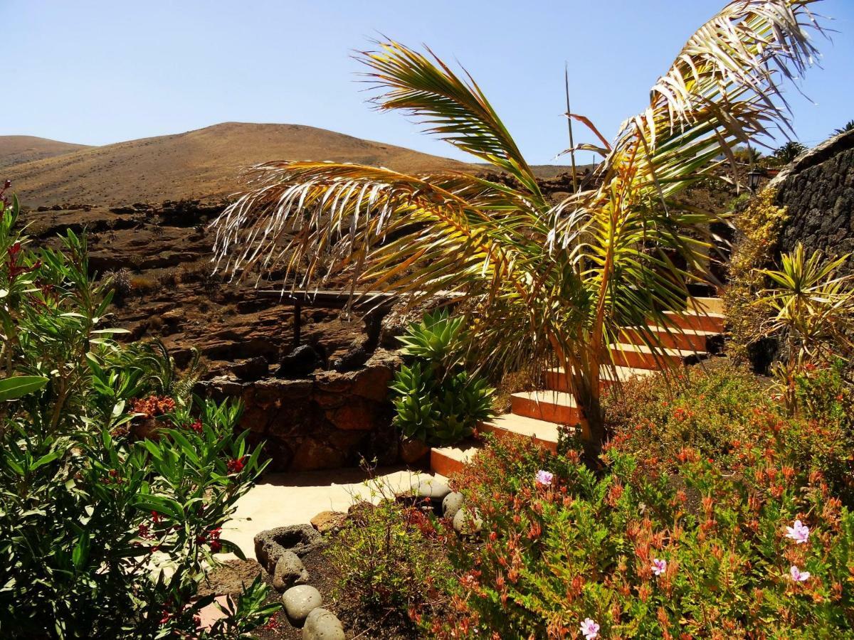 Castillo Lanzarote Villa Winni - Luxury Villa - Pet Friendly With Heated Pool La Asomada  Dış mekan fotoğraf